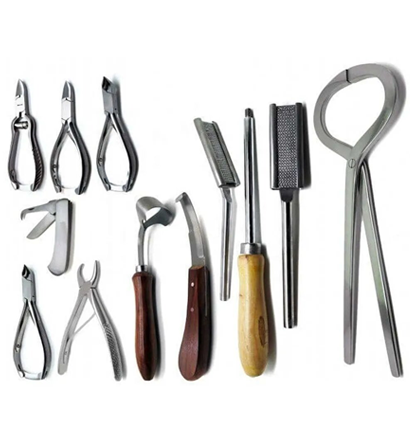 Veterinary Instruments